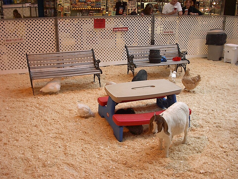 Kinderboerderij de Schoterhoeve
