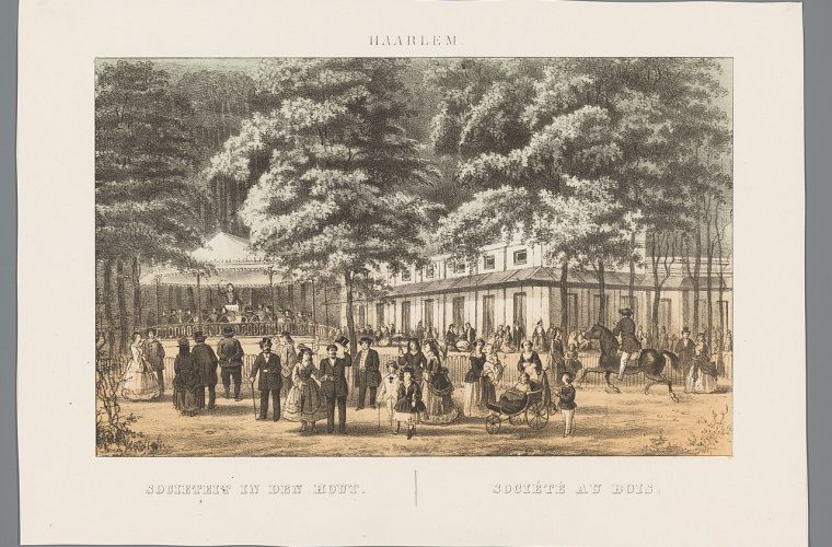 Haarlem — hout