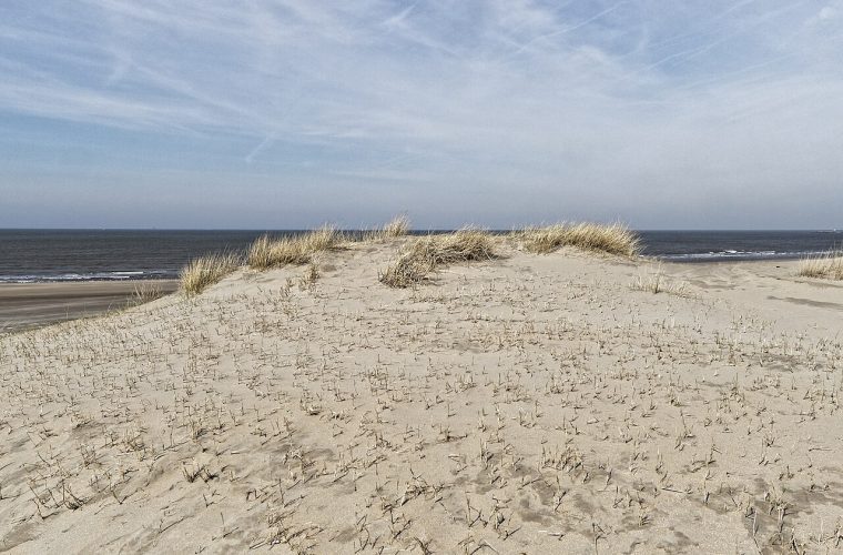 Haarlem — kennemerland