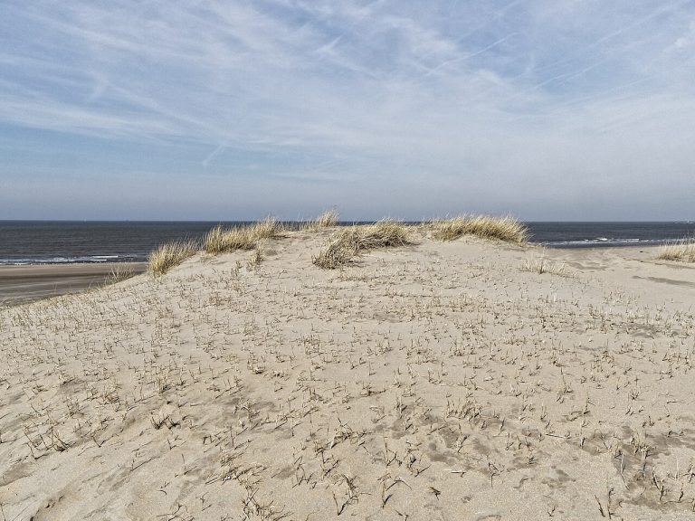 Wandeling Zuid-Kennemerland — Natuur in Haarlem