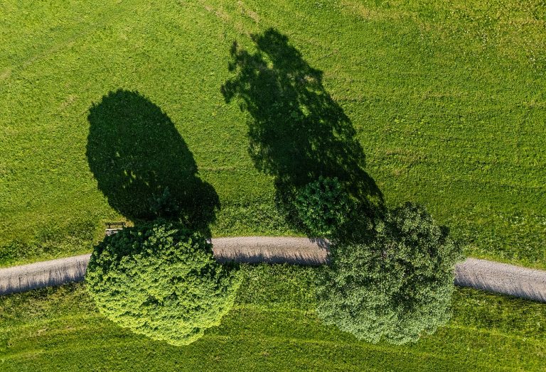 Excursie naar Christian Müllerorgel met stadsorganist — Natuur in Haarlem